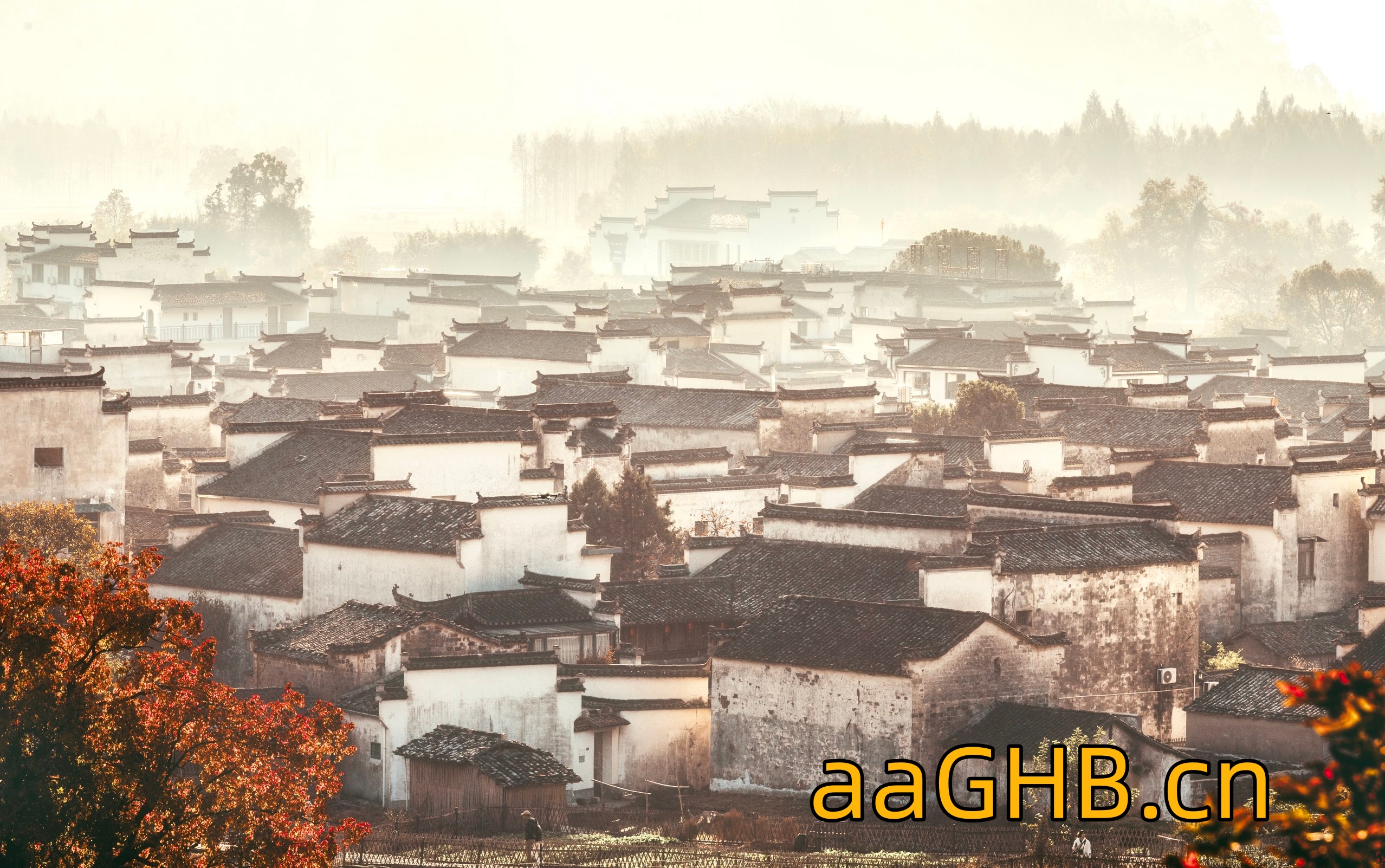 aaGHB.cn-0253